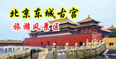 逼逼好痒,想让大鸡巴操的视频中国北京-东城古宫旅游风景区